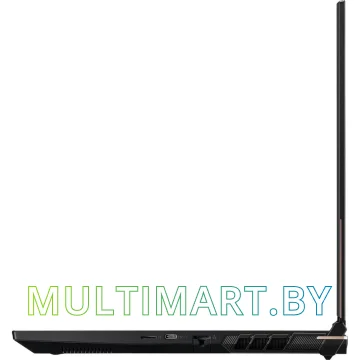Игровой ноутбук Colorful EVOL X17 PRO MAX (A10205400061) картинка 5